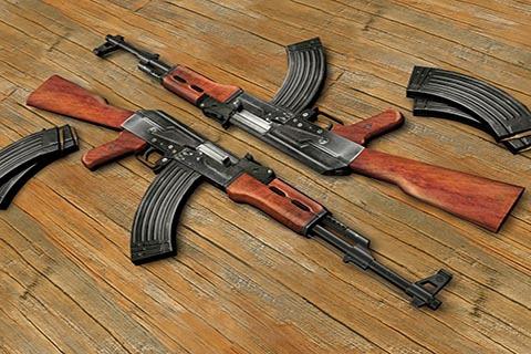 Gunmen decamp with service rifle of BJP leader's PSO